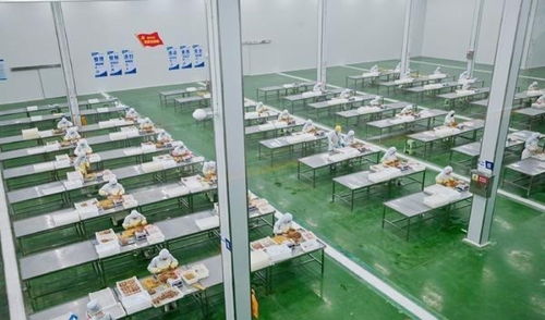 一次性奖励企业2000万元 河南 真金白银 支持绿色食品业加快发展